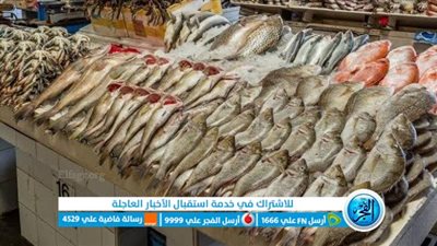 أسعار الأسماك في سوق العبور اليوم 
