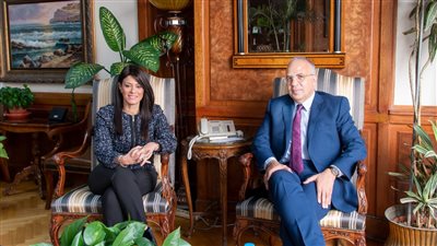 وزيرا الري والتعاون الدولي يبحثان مستجدات مشروعات مياه مقترحة ضمن 