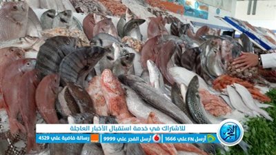 أسعار السمك في سوق العبور اليوم 16-1- 2022