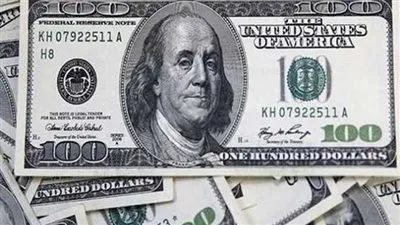 خبيرة مصرفية تكشف أسباب انخفاض سعر الدولار بعد تخطيه 30 جنيها (فيديو)