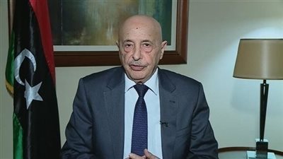 عقيلة صالح: لدينا آلاف المرشحين لمجلس النواب و100 مرشح لرئيس الدولة