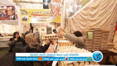 أسعار الدواجن والبيض اليوم في معارض اهلا رمضان 2023