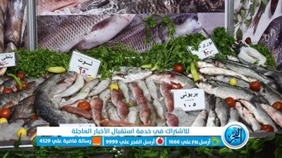 أسعار الأسماك اليوم فى سوق العبور وبمعارض اهلا رمضان 2023