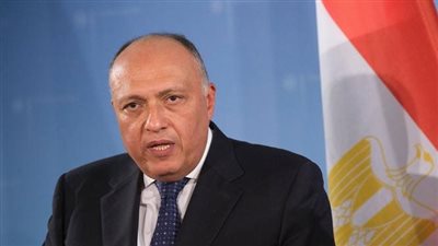 وزير الخارجية: واردات القمح من أهم عناصر العلاقة بين مصر وروسيا (فيديو)