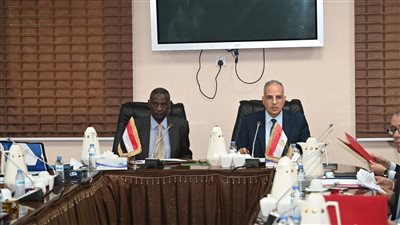 وزيرا الري المصري والسوداني يناقشان الشواغل المشتركة في إدارة مورد النيل 