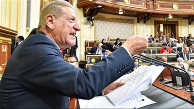 فخري الفقي: ثورات الربيع العربي كانت مخططة لإضعاف المنطقة