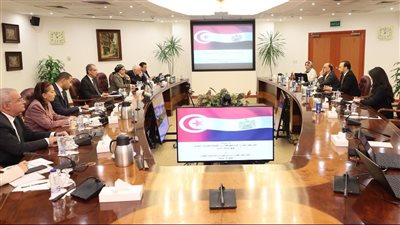 وزير الاتصالات يبحث مع نظيره التونسي تعزيز التعاون بين البلدين