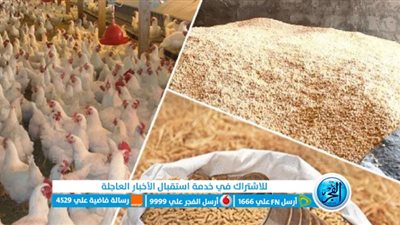 أسعار أعلاف الدواجن اليوم الإثنين 23 يناير 2023 بالأسواق