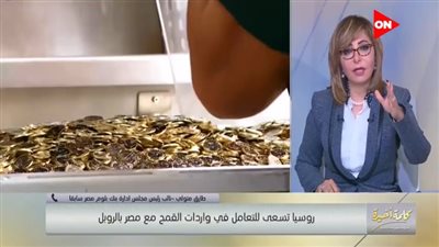 هل التعامل بالروبل يؤثر على دخل مصر من الدولار في السياحة؟.. خبير يجيب