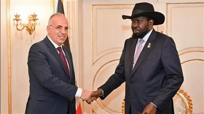 وزير الري: تعزيز التعاون الاقتصادي بين مصر وجنوب السودان 