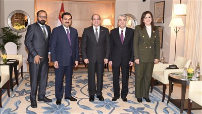 عاجل.. تفاصيل لقاء السيسي رئيس مجموعة أداني العالمية