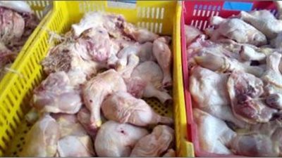  ضبط مدير ثلاجة توريدات وبحوزته 13 طن دواجن مدعمة لبيعها بالسوق السوداء 
