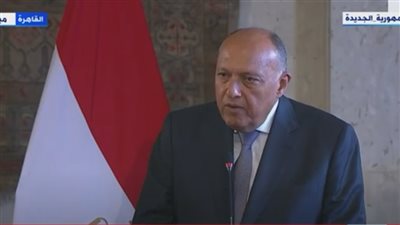 بعد غياب السودان عن القمة الإفريقية.. سامح شكري: 