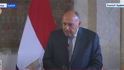 وزير الخارجية: يجب مراعاة تحديات الوضع الاقتصادي العالمي على الدول النامية (فيديو)