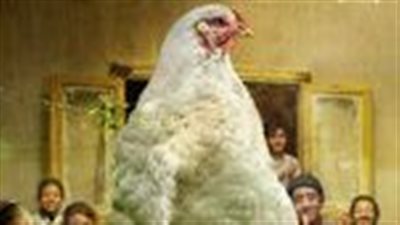 جائزة نقاد السينما المصريين: 