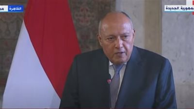 سامح شكري: استشعرت من وزير الخارجية الأمريكي تفهما للضغوط التي تتعرض لها الدول النامية