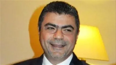 أيمن الجميل: الاقتصاد المصرى يحقق معدلات نمو مرتفعة رغم الأزمات العالمية الطاحنة 