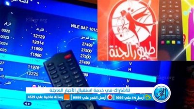 شغال: تردد قناة طيور الجنة 2023 Toyor Aljanah الجديد نايل سات أو عربسات