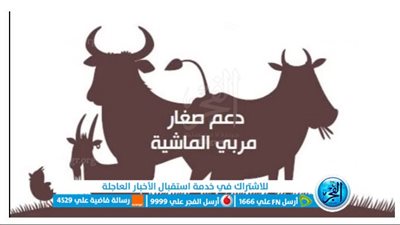 لينك الاستعلام عن دعم مربي المواشي في السعودية.. وشروط التسجيل