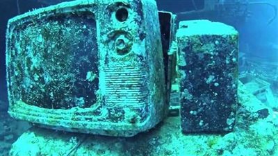 أحد الناجين من 