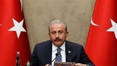 رئيس البرلمان التركي: الوضع في كييف يؤكد ضرورة إصلاح المنظمة الدولية