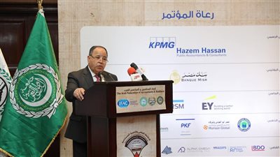 وزير المالية: ماضون فى «ميكنة الاقتصاد» 