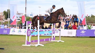 4 أيام.. تفاصيل أول بطولة عربية عسكرية للفروسية بالعاصمة الإدارية
