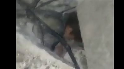 من تركيا إلى سوريا.. خمسة 