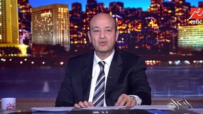 أديب عن قضية ترامب: سيرك إعلامي.. وابحثوا عن المرأة