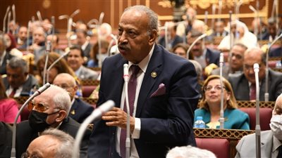 برلماني: التكامل المؤسسي وتنمية التمكين الاقتصادي للمرأة ضرورة لنبذ العنف الأسري