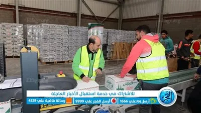 الأورمان تبدأ في تجهيز وتعبئة كراتين رمضان بالفيوم 