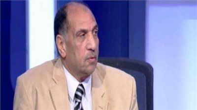 تفاصيل التعاون بين المصريين بالخارج وصندوق تحيا مصر (فيديو)