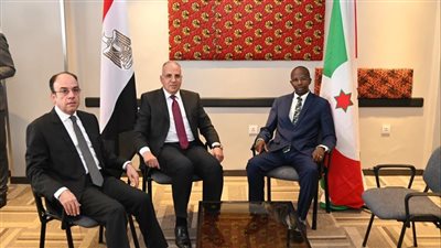 وزير الري يلتقى نظيره البوروندى لبحث سبل تعزيز التعاون بين البلدين