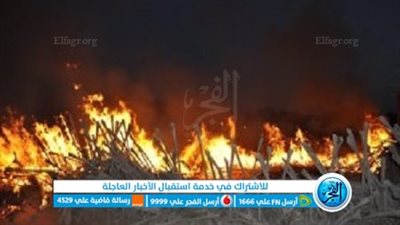  4 سيارات إطفاء للسيطره على حريق ضخم شب في مخزن لقش الأرز بالدقهلية