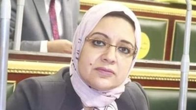 لاستياء السياح.. برلمانية تطالب بتوفير قطعة أرض لإقامة السوق العشوائي بإدفو 