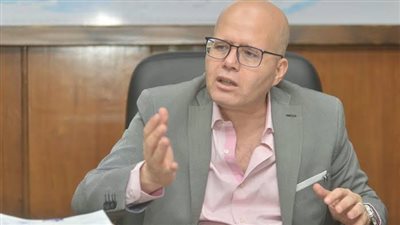 عضو أمناء الحوار الوطني: لا توجد رقابة دولية على الانتخابات الرئاسية (فيديو)