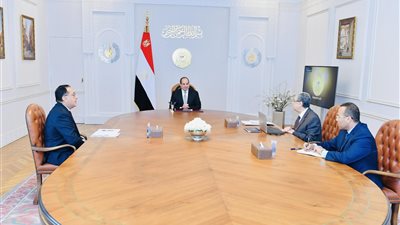شاهد.. تفاصيل اجتماع الرئيس السيسي مع وزير الكهرباء 