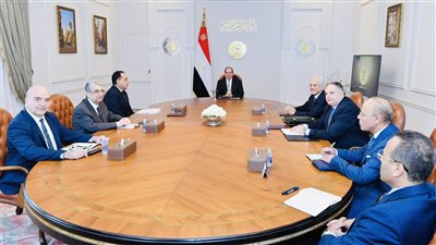 شاهد.. تفاصيل استقبال السيسي لرئيس مجموعة شركة كهرباء يونانية