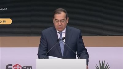 عاجل| وزير البترول: إنشاء 700 محطة جديدة لتموين السيارات بالغاز الطبيعي