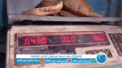 تموين الإسماعيلية يحرر 66 محضرًا في حملة على الأسواق