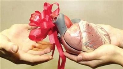 عيد الحب 2023.. تعرف على أغرب الهدايا