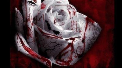 عيد الحب.. ذكريات العشق بين التنازل عن الحكم والموت والدم