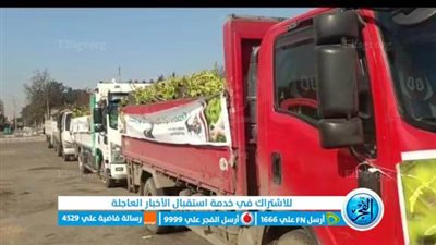 الإسماعيلية تتسلم الدفعة الثالثة من أشجار المبادرة الرئاسية ١٠٠ مليون شجرة 