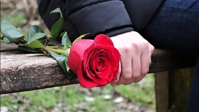 يا دبدوب مين يشتريك.. العشاق في عيد الحب 2023: 