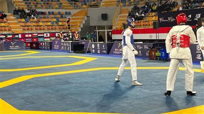 سيف عيسى يتوج بذهبية بطولة مصر الدولية للتايكوندو