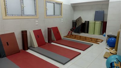 صحة الدقهلية: جلسات 