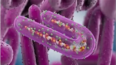 يقتل 90% من المصابين.. كل ما تريد معرفته عن فيروس ماربورج