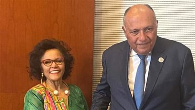 تفاصيل لقاء وزير الخارجية والمديرة التنفيذية لوكالة الاتحاد الإفريقي للتنمية 