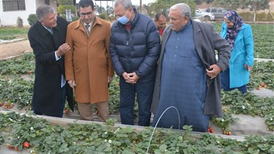 محافظ القليوبية يتفقد 4 نماذج للزراعة بنظام الري الحديث لدعم المزارعين