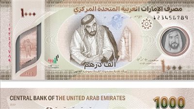 سعر الدرهم الإماراتي أمام الجنيه.. كواليس رحلته على مدار الأسبوع